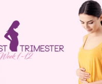 First trimester of pregnancy