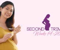 second trimester of pregnancy