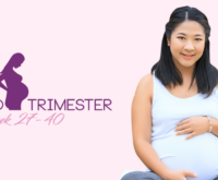 Third trimester pregnancy